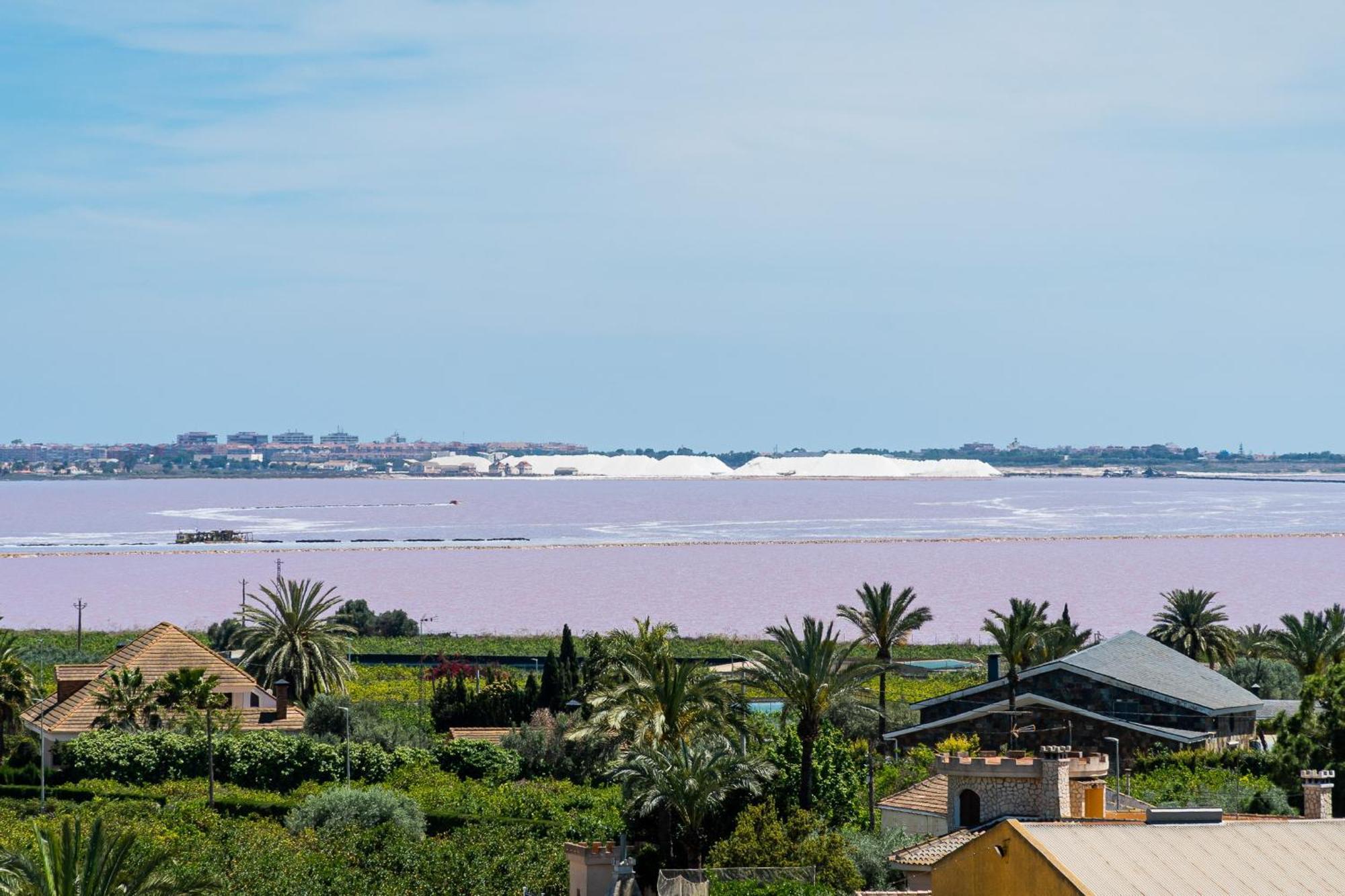 Aparthotel Laguna Rosa Los Montesinos Dış mekan fotoğraf