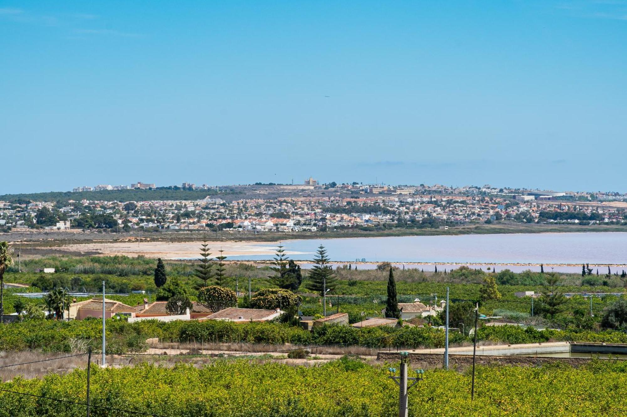 Aparthotel Laguna Rosa Los Montesinos Dış mekan fotoğraf